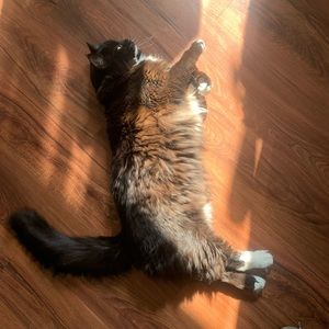 Meet your Posher, Erin